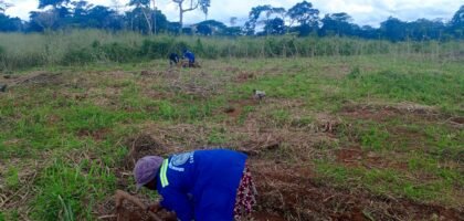 women farming